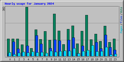 Hourly usage for January 2024