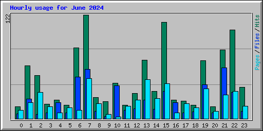 Hourly usage for June 2024